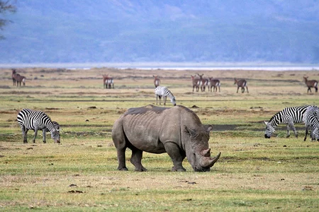 Ngorongoro National Park