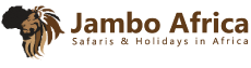 Webpage