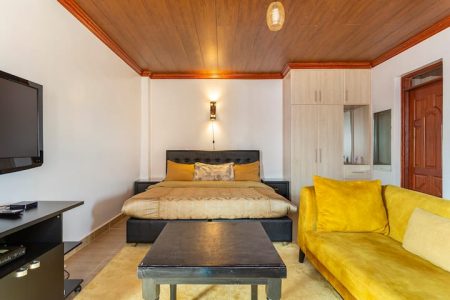Penthouse Studio with King Bed