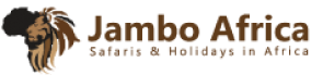 Webpage